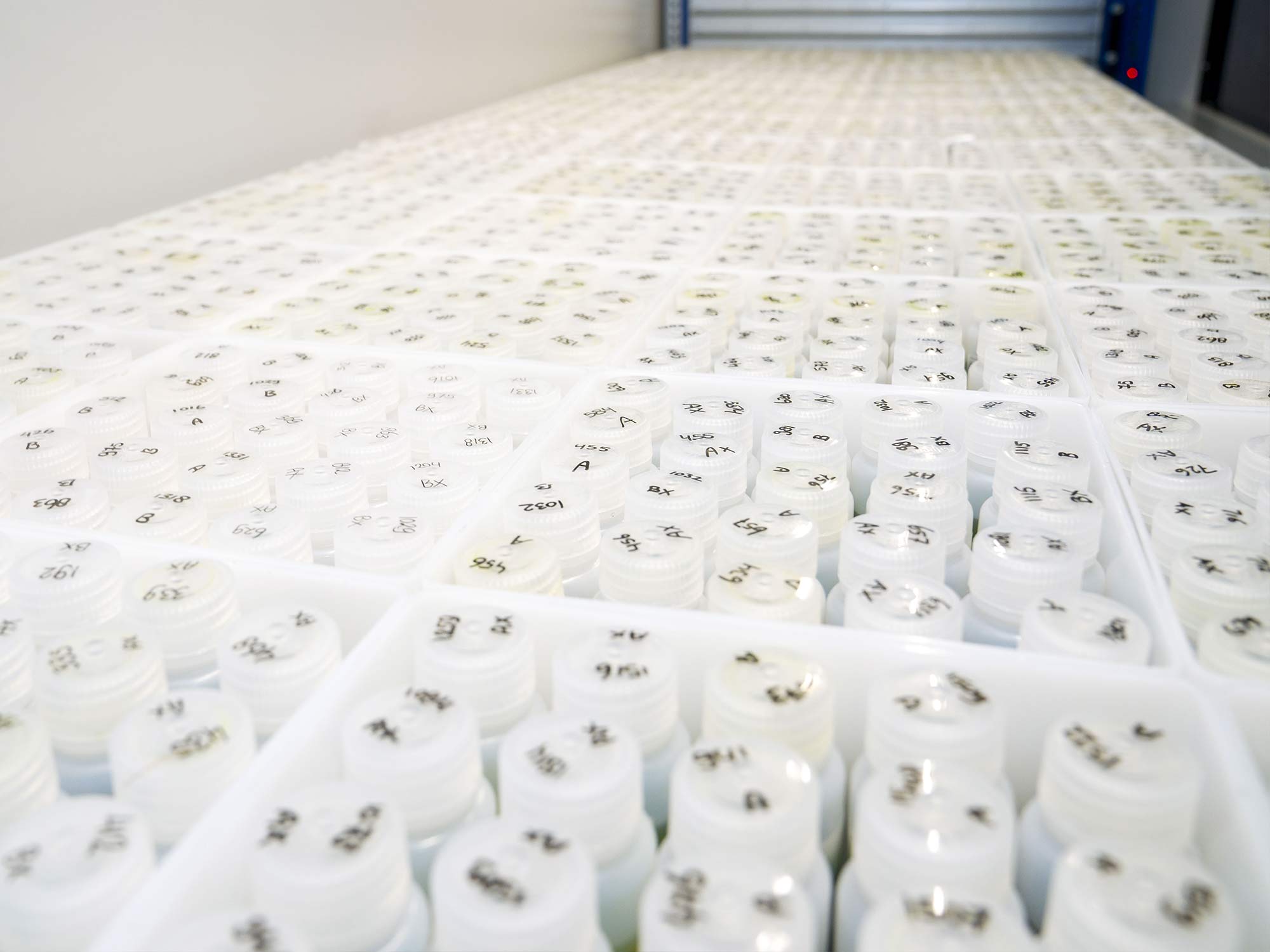 bottles with plant extracts for high throughput screening bottles with plant extracts for high throughput screening