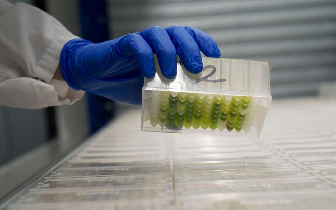 Unieke verzameling plantenextracten voor onderzoek en gebruik geopend