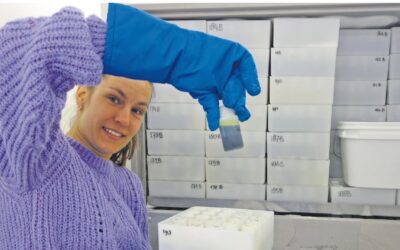 IJSKOUDE BIEB VOL BIOACTIEVE PLANTENSTOFFEN