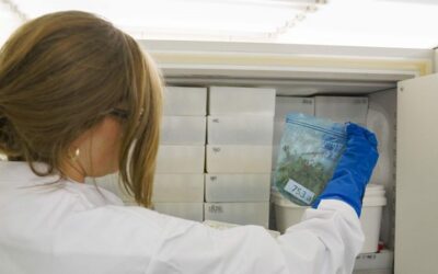 Bibliotheek vol plantenextracten, beschikbaar voor onderzoek